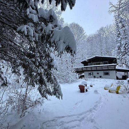 Chalet Dans Les Arbres. 3 Ch. /Trees House 3Bdr Lac Sainte-Marie Exterior photo