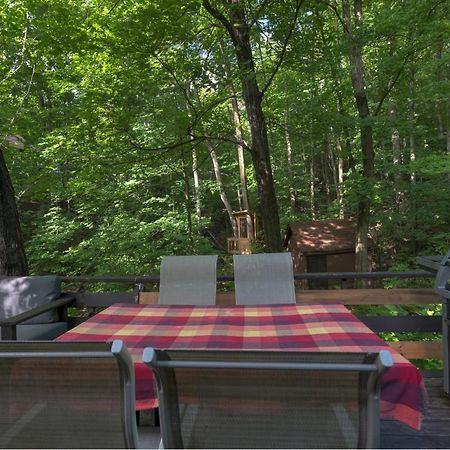 Chalet Dans Les Arbres. 3 Ch. /Trees House 3Bdr Lac Sainte-Marie Exterior photo