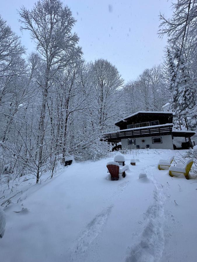 Chalet Dans Les Arbres. 3 Ch. /Trees House 3Bdr Lac Sainte-Marie Exterior photo